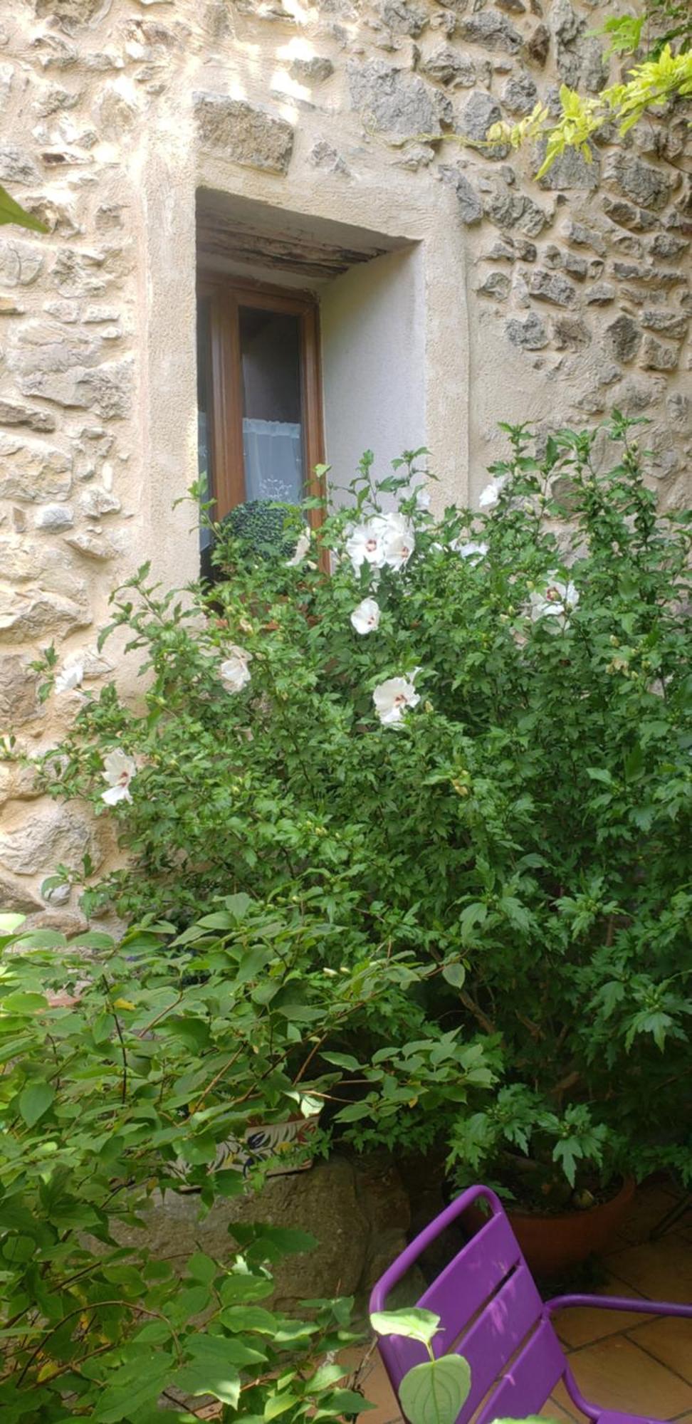 Le Chateau Camps-sur-l'Agly Exterior foto